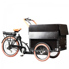 Electric Cargo bike for Coffee fruit