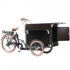 Electric Cargo bike for Coffee fruit