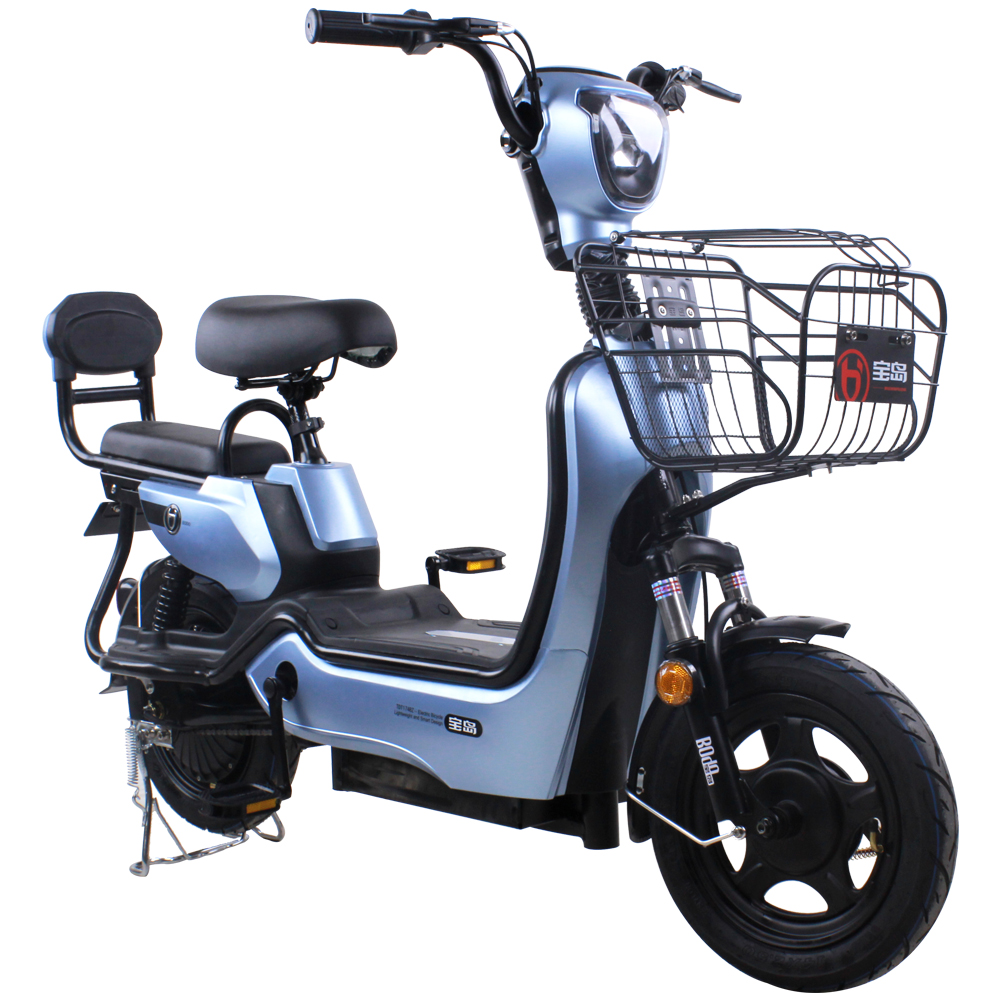 rechargeable electric bike