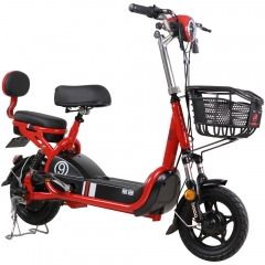 Cheap electric bicycle multi-purpose lithium-ion two-seat electric bike