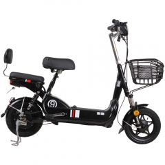 Cheap electric bicycle multi-purpose lithium-ion two-seat electric bike
