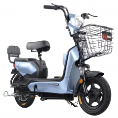 electric bicycle 14
