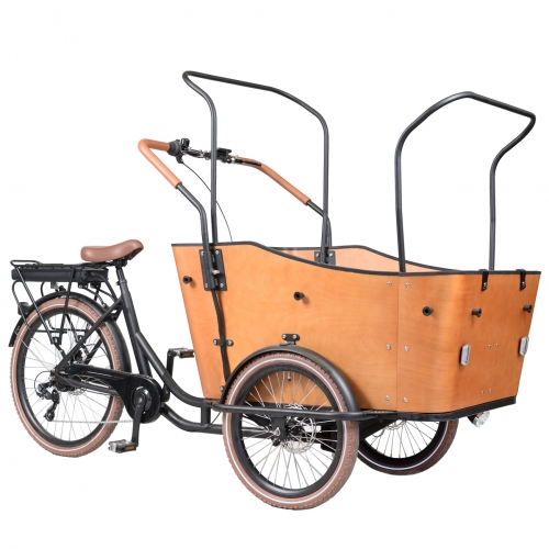 Steel frame electric cargo bike for family