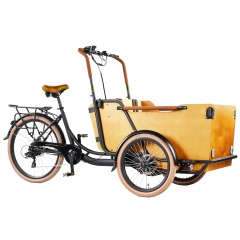 Padel assist Electric cargo bike three wheel